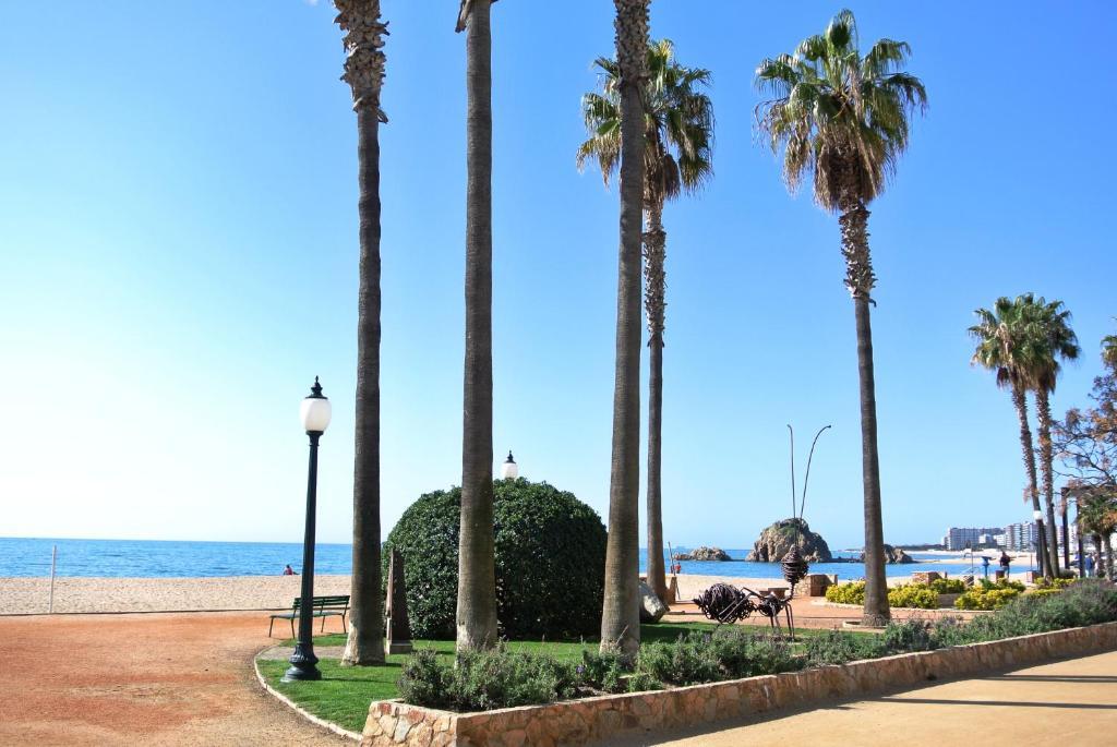 Aiguaneu Apartaments Center Blanes Eksteriør bilde